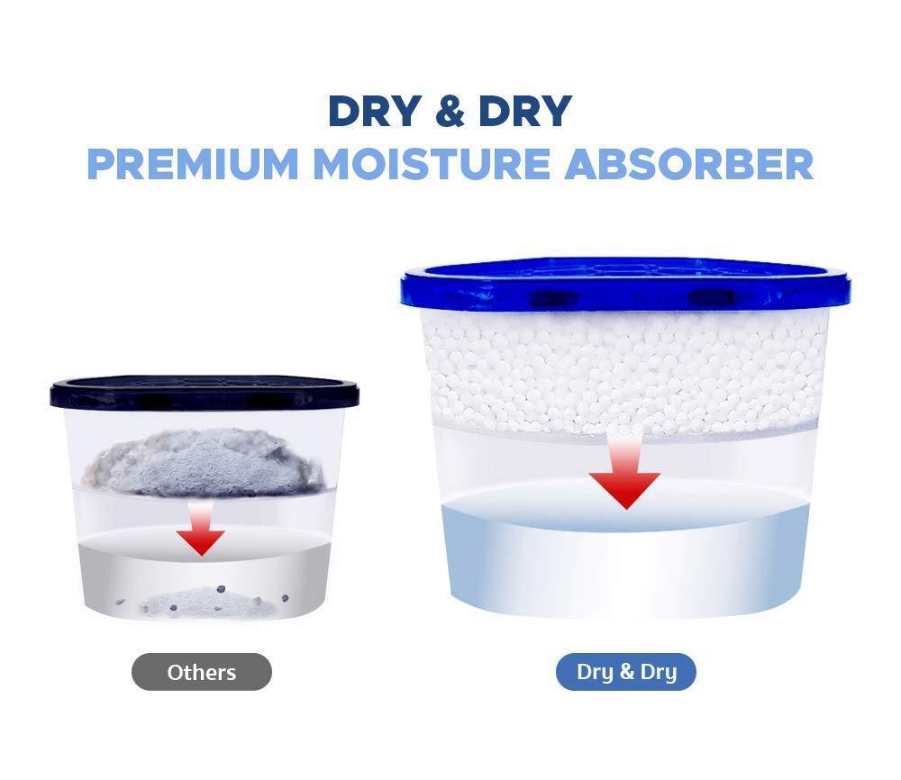Selection Dry Dry 48 Boxes Net 10 Oz Box Premium Moisture – Jembler